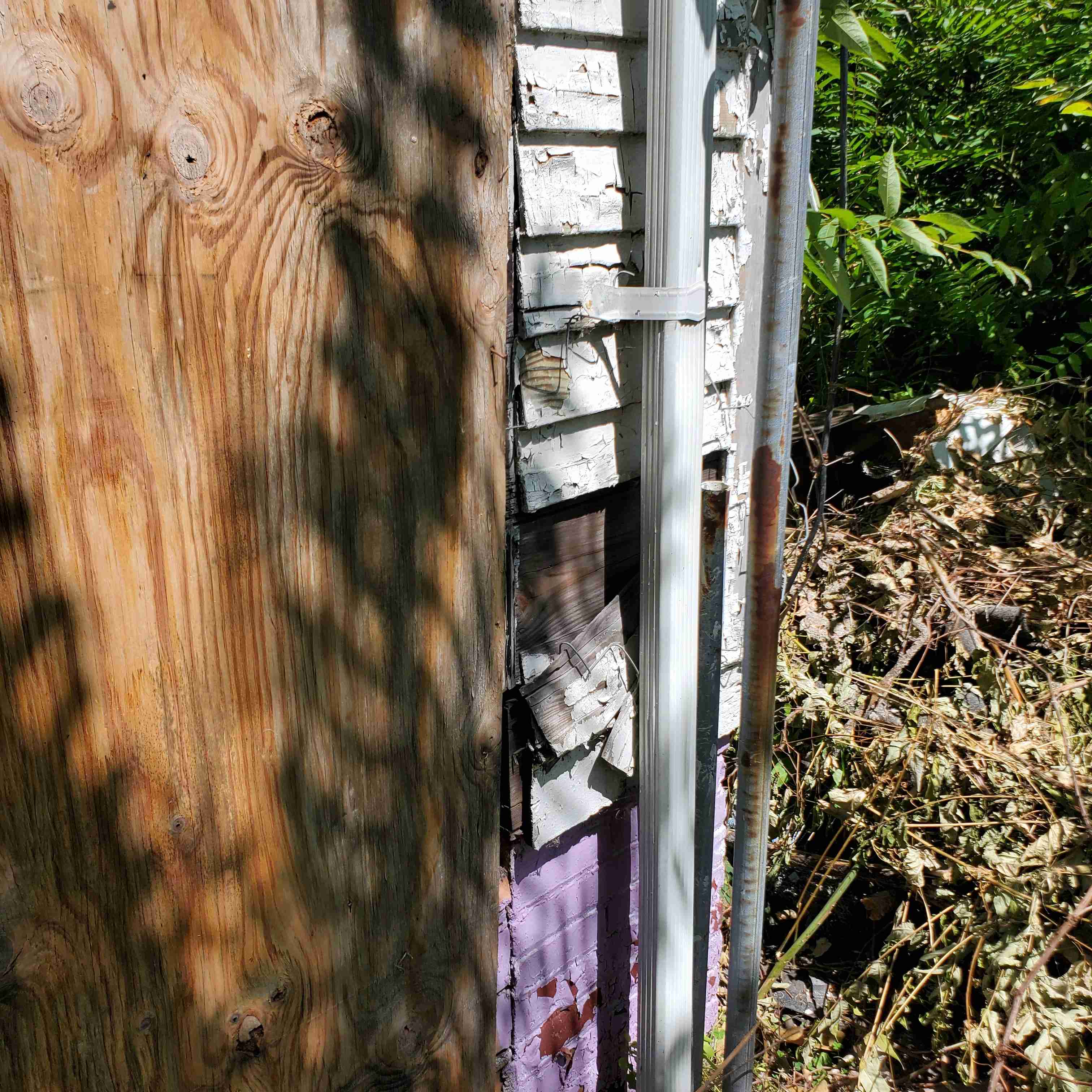 20200812_125219 (2).jpg